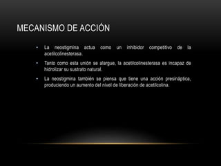 MECANISMO DE ACCIÓN
• La neostigmina actua como un inhibidor competitivo de la
acetilcolinesterasa.
• Tanto como esta unión se alargue, la acetilcolinesterasa es incapaz de
hidrolizar su sustrato natural.
• La neostigmina también se piensa que tiene una acción presináptica,
produciendo un aumento del nivel de liberación de acetilcolina.
 