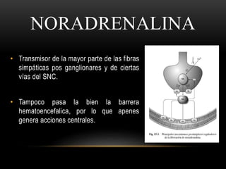 NORADRENALINA
• Transmisor de la mayor parte de las fibras
simpáticas pos ganglionares y de ciertas
vías del SNC.
• Tampoco pasa la bien la barrera
hematoencefalica, por lo que apenes
genera acciones centrales.
 