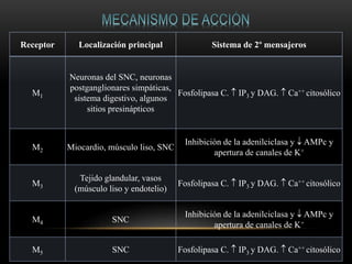 Receptor Localización principal Sistema de 2º mensajeros
M1
Neuronas del SNC, neuronas
postganglionares simpáticas,
sistema digestivo, algunos
sitios presinápticos
Fosfolipasa C.  IP3 y DAG.  Ca++ citosólico
M2 Miocardio, músculo liso, SNC
Inhibición de la adenilciclasa y  AMPc y
apertura de canales de K+
M3
Tejido glandular, vasos
(músculo liso y endotelio)
Fosfolipasa C.  IP3 y DAG.  Ca++ citosólico
M4 SNC
Inhibición de la adenilciclasa y  AMPc y
apertura de canales de K+
M5 SNC Fosfolipasa C.  IP3 y DAG.  Ca++ citosólico
 