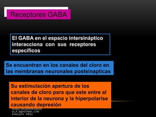 PÉREZ CALDERÓN DIEGO
DI_P_S@HOTMAIL.COM
CHICLAYO . PERÚ
Receptores GABAReceptores GABA
El GABA en el espacio intersináptico
interacciona con sus receptores
específicos
Se encuentran en los canales del cloro en
las membranas neuronales postsinapticas
Su estimulación apertura de los
canales de cloro para que este entre al
interior de la neurona y la hiperpolarise
causando depresión
 