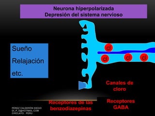 PÉREZ CALDERÓN DIEGO
DI_P_S@HOTMAIL.COM
CHICLAYO . PERÚ
Receptores de las
benzodiazepinas
Receptores
GABA
Canales de
cloro
Neurona hiperpolarizada
Depresión del sistema nervioso
cl
cl
cl cl
Sueño
Relajación
etc.
 