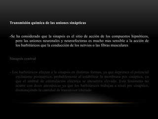 Transmisión química de las uniones sinápticas
-Se ha considerado que la sinapsis es el sitio de acción de los compuestos hipnóticos,
pero las uniones neuronales y neuroefectoras es mucho mas sensible a la acción de
los barbitúricos que la conducción de los nervios o las fibras musculares
Sinapsis central
- Los barbitúricos afectan a la sinapsis en distintas formas, ya que deprimen el potencial
excitatorio posinaptico, probablemente al estabilizar la membrana pos sináptica, ya
que el umbral de estimulación eléctrica se encuentra elevado. Este fenómeno no
ocurre con dosis anestésicas ya que los barbitúricos trabajan a nivel pre sináptico,
disminuyendo la cantidad de transmisor liberado
 