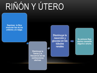 RIÑÓN Y ÚTERO
Deprimen la fibra
muscular lisa de los
uréteres y la vejiga.
Disminuye la
fuerza y la
frecuencia de las
contracciones
uterinas.
Disminuye la
resorción y
glucosa en los
túbulos
renales
Se aminora flujo
uterino causando
oliguria o anuria.
 