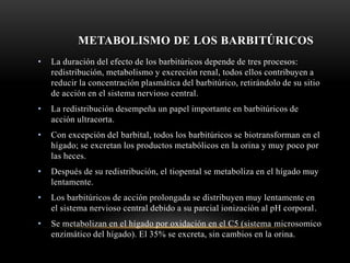 METABOLISMO DE LOS BARBITÚRICOS
• La duración del efecto de los barbitúricos depende de tres procesos:
redistribución, metabolismo y excreción renal, todos ellos contribuyen a
reducir la concentración plasmática del barbitúrico, retirándolo de su sitio
de acción en el sistema nervioso central.
• La redistribución desempeña un papel importante en barbitúricos de
acción ultracorta.
• Con excepción del barbital, todos los barbitúricos se biotransforman en el
hígado; se excretan los productos metabólicos en la orina y muy poco por
las heces.
• Después de su redistribución, el tiopental se metaboliza en el hígado muy
lentamente.
• Los barbitúricos de acción prolongada se distribuyen muy lentamente en
el sistema nervioso central debido a su parcial ionización al pH corporal.
• Se metabolizan en el hígado por oxidación en el C5 (sistema microsomico
enzimático del hígado). El 35% se excreta, sin cambios en la orina.
 