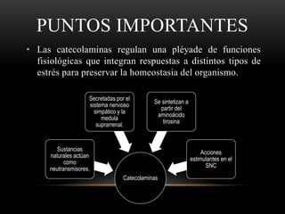 PUNTOS IMPORTANTES
• Las catecolaminas regulan una pléyade de funciones
fisiológicas que integran respuestas a distintos tipos de
estrés para preservar la homeostasia del organismo.
Catecolaminas
Sustancias
naturales actúan
como
neutransmisores.
Secretadas por el
sistema nervioso
simpático y la
medula
suprarrenal.
Se sintetizan a
partir del
aminoácido
tirosina
Acciones
estimulantes en el
SNC
 