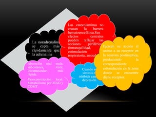 La noradrenalina
se capta más
rápidamente que
la adrenalina
Las catecolaminas no
cruzan la barrera
hematoencefálica.Sus
efectos centrales
pueden reflejar las
acciones periféricas
(intranquilidad,
estimulación
respiratoria, ansiedad).
Absorción oral mala;
subcutánea, lenta;
intramuscular, más
rápida.
Vasoconstricción local.
Metabolismo por MAO y
COMT
Cuando su
síntesis es
inhibida causan
depresión.
Ejercen su acción al
unirse a su receptor en
la neurona postinaptica,
produciendo la
correspondiente
estimulación en la zona
donde se encuentre
dicho receptor.
 