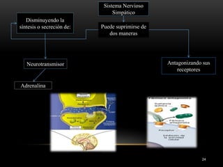 24
Sistema Nervioso
Simpático
Disminuyendo la
síntesis o secreción de:
Neurotransmisor Antagonizando sus
receptores
Puede suprimirse de
dos maneras
Adrenalina
 