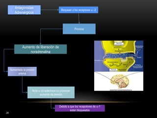 26
Antagonistas
Adrenérgicos
Provoca
Aumento de liberación de
noradrenalina
Aumentado la presión
arterial
Bloquean a los receptores  -2
Nota  no selectivos no provocan
aumento de presion
Debido a que los recepotores de -1
estan bloqueados
 