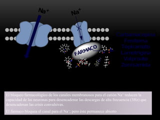 El bloqueo farmacológico de los canales membranosos para el catión Na+ reducen la
capacidad de las neuronas para desencadenar las descargas de alta frecuencia (3Hz) que
desencadenan las crisis convulsivas.
El fármaco bloquea el canal para el Na+; pero éste permanece abierto
 