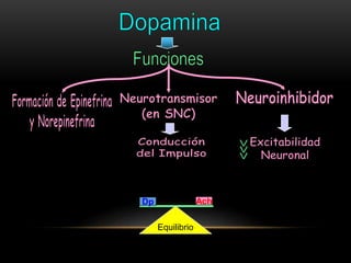 Dp Ach
Equilibrio
 
