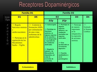 Familia D1 Familia D2
Sub-
Tipo
D1 D5 D2 D3 D4
D2q D2p
F
U
N
C
I
Ó
N
>> Regula
funciones motoras
y
cardiovasculares
>> Participa en la
regulación de los
Mecanismos
Sueño – Vigilia
>> Controla la
formación AMPc
por estimulación
de una o mas
isoformas de la
adenilciclasa
>> Autoreceptor
>> Participa en
funciones
motoras, en
algunos aspectos
de la emoción y
en la integración
y expresión de
las conductas
motivadas
>> Regula la
síntesis y la
liberación de
dopamina, así
como la
secreción de
prolactina
>> Participa en
algunos
aspectos
motores y en
conductas
asociadas con
aspectos
motivados
>> Esta
involucrado en
el trastorno
depresivo
>> Función
moduladora a
nivel
postsinaptico
>> Participa
de manera
importante
en la
integración y
la expresión
de acciones
motoras
>>
Estimula
el Sistema
Límbico
Estimuladores Inhibidores
 