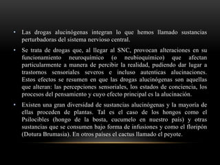 • Las drogas alucinógenas integran lo que hemos llamado sustancias
perturbadoras del sistema nervioso central.
• Se trata de drogas que, al llegar al SNC, provocan alteraciones en su
funcionamiento neuroquímico (o neubioquímico) que afectan
particularmente a manera de percibir la realidad, pudiendo dar lugar a
trastornos sensoriales severos e incluso autenticas alucinaciones.
Estos efectos se resumen en que las drogas alucinógenas son aquellas
que alteran: las percepciones sensoriales, los estados de conciencia, los
procesos del pensamiento y cuyo efecto principal es la alucinación.
• Existen una gran diversidad de sustancias alucinógenas y la mayoría de
ellas proceden de plantas. Tal es el caso de los hongos como el
Psilocibles (hongo de la bosta, cucumelo en nuestro país) y otras
sustancias que se consumen bajo forma de infusiones y como el floripón
(Dotura Brumasia). En otros países el cactus llamado el peyote.
 