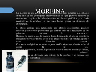 MORFINA• La morfina es uno de los fármacos analgésicos más potentes sin embargo
entre uno de sus principales inconvenientes es que provoca adicción el
consumidor requiere la administración de forma periódica y a dosis
creciente de la morfina. La supresión brusca genera un síndrome de
abstinencia.
• El abuso crónico está relacionado con efectos euforizantes, produce
sedación y sedaciones placenteras que derivan más de la resolución de los
primeros síntomas de abstinencia.
Deprime la respiración de manera dosis dependiente al afectar receptores
muscarínicos y nicotínicos, dosis altas producen ritmos anormales, apnea y
vaso dilatación cerebral.
Con dosis analgésicas superiores ejerce acción depresora directa sobre el
centro de la tos.
Provoca hipotermia, miosis, hipotensión vaso dilatación arterial y venosa,
retención urinaria.
La heroína es un derivado más potente de la morfina y se produce por
acetilación de la morfina.
 