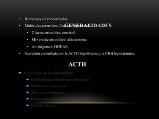 GENERALIDADES
• Hormonas adrenocorticales.
• Moléculas esteroides. Corteza suprarrenal.
• Glucocorticoides: cortisol.
• Mineralocorticoides: aldosterona.
• Andrógenos: DHEAS.
• Secreción controlada por la ACTH hipofisiaria y la CRH hipotalámica.
ACTH
 Regulación de la secreción por:
 Eje Hipotálamo-Hipofisiario-Suprarrenal.
 Sistema nervioso central.
 Arginina - vasopresina.
 Retroacción negativa de glucocorticoides.
 Reacción al estrés.
 