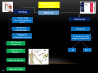 35
Antagonistas -2
adrenergicos
Selectivos:Yohimbina
Mirtazapina
5 HT 2
También antagoniza los
receptores de serotonina
Antidepresivo
Disfuncion Sexual
Masculina
Es util para el
tratamiento de:
Antagoniza los
receptores de serotonina
Aumento de la
actividad motora
Produce efecto
cronotrópico e inotrópico
positivo
Neuropatia diabetica
Hipotension Postural
5 HT 3
 
