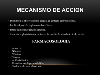 MECANISMO DE ACCION
• Disminuye la absorción de la glucosa en el tracto gastrointestinal.
• Facilita el paso de la glucosa a las células.
• Inhibe la gluconeogénesis hepática.
• Aumenta la glucólisis anaerobia con formación de abundante ácido láctico.
FARMACOSOLOGIA
• Anorexia.
• Náuseas.
• Vómitos.
• Diarreas.
• Acidosis láctica.
• Reacciones de hipersensibilidad.
• Sindrome de mala absorción
 
