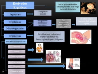 37
Derivados
Ergoticos
Ergotoxina
Son un grupo de alcaloides
naturales presentes en el hongo
cornezuelo de centeno
Sus efectos adversos son:
Nauseas
Ergotamina
Dihidroergotamina
Ergonovina
Antagonista
potente
Antagonistas
parciales de
receptores
Se utlizan para el
tratamiento de la Migraña
aguda
Se utiliza para estimular el
utero y disminuir las
hemorragias despues del parto
Vomito
Crisis anginosas
Insuficiencia vascular
Gangrena
Cefalea de rebote
Son
antogonistas
sobre Vasos,M.
Liso,SNC
 