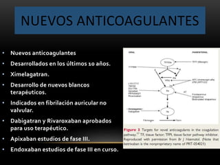 NUEVOS ANTICOAGULANTES
• Nuevos anticoagulantes
• Desarrollados en los últimos 10 años.
• Ximelagatran.
• Desarrollo de nuevos blancos
terapéuticos.
• Indicados en fibrilación auricular no
valvular.
• Dabigatran y Rivaroxaban aprobados
para uso terapéutico.
• Apixaban estudios de fase III.
• Endoxaban estudios de fase III en curso.
 