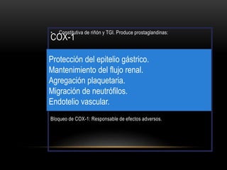 COX-1
• Constitutiva de riñón y TGI. Produce prostaglandinas:
Bloqueo de COX-1: Responsable de efectos adversos.
Protección del epitelio gástrico.
Mantenimiento del flujo renal.
Agregación plaquetaria.
Migración de neutrófilos.
Endotelio vascular.
 
