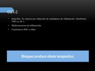 COX-2
• Inducible. Se expresa por inducción de mediadores de inflamación. Interferónγ
TNF-α e IL-1.
• Media procesos de inflamación.
• Constitutiva SNC y riñón.
Bloqueo produce efecto terapéutico.
 