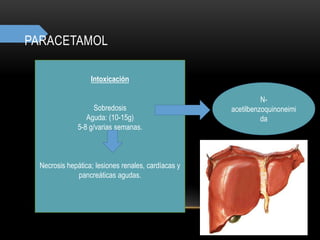 PARACETAMOL
Intoxicación
Sobredosis
Aguda: (10-15g)
5-8 g/varias semanas.
Necrosis hepática; lesiones renales, cardíacas y
pancreáticas agudas.
N-
acetilbenzoquinoneimi
da
 