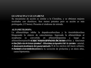 GUANFACINA Y GUANABENZ
Su mecanismo de acción es similar a la Clonidina, y se obtienen mejores
resultados con diuréticos. Son menos potentes pero su acción es más
prolongada, (12 horas). Presenta el síndrome de retirada.
ALFAMETILDOPA
La alfametildopa inhibe la dopadescarboxilasa y la tirosinhidroxilasa
bloqueando la síntesis de catecolaminas. Ingresada la alfametildopa al
axoplasma es convertida en alfametildopamina y luego en
alfametilnorepinefrina que ocupan el Puesto de norepinefrina y funcionen
como "falsos neurotransmisores". Disminuyen la actividad de renina.
A nivel central estimula los receptores alfa II de los núcleos del tracto solitario,
reduciendo el control simpático.
EFECTOS FARMACOLÓGICOS
 Después de 4 horas produce reducción progresiva de la presión arterial,
frecuencia cardiaca y del gasto cardiaco.
 Actúan como sedante, aumenta la secreción de prolactina y en dosis altas,
causa hipotermia.
 