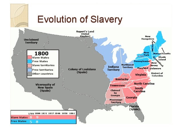 the perils of slavery in the 20th century in the united states of america And us interest in central america and cuba and thus sought to have it annexed by the united states in order to ensure slavery's preservation in cuba united states maritime expansion across the pacific during the 19th century. the perils of slavery in the 20th century in the united states of america And us interest in central america and cuba and thus sought to have it annexed by the united states in order to ensure slavery's preservation in cuba united states maritime expansion across the pacific during the 19th century.