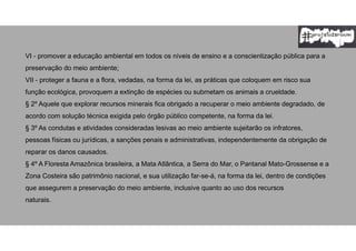VI - promover a educação ambiental em todos os níveis de ensino e a conscientização pública para a
preservação do meio ambiente;
VII - proteger a fauna e a flora, vedadas, na forma da lei, as práticas que coloquem em risco sua
função ecológica, provoquem a extinção de espécies ou submetam os animais a crueldade.
§ 2º Aquele que explorar recursos minerais fica obrigado a recuperar o meio ambiente degradado, de
acordo com solução técnica exigida pelo órgão público competente, na forma da lei.
§ 3º As condutas e atividades consideradas lesivas ao meio ambiente sujeitarão os infratores,
pessoas físicas ou jurídicas, a sanções penais e administrativas, independentemente da obrigação de
reparar os danos causados.
§ 4º A Floresta Amazônica brasileira, a Mata Atlântica, a Serra do Mar, o Pantanal Mato-Grossense e a
Zona Costeira são patrimônio nacional, e sua utilização far-se-á, na forma da lei, dentro de condições
que assegurem a preservação do meio ambiente, inclusive quanto ao uso dos recursos
naturais.
 