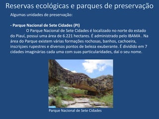 Flora- A catinga apresenta uma vegetação adaptada à aridez (xerófila), já que se localiza no semi-árido nordestino.Predominam espécies arbustivas e arbóreas de pequeno porte, geralmente dotadas de espinhos.