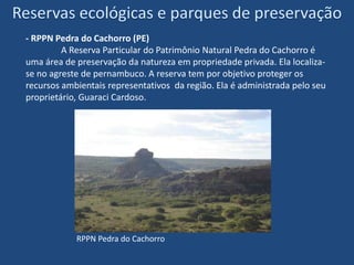  A caatinga é considerada às vezes como uma savana já que é estépica e tem um clima com poucas e irregulares chuvas, solos férteis e vegetação aparentemente seca.Vegetação adaptada à aridez