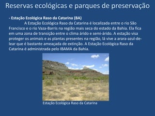 Reservas ecológicas e parques de preservação- Atualmente existem pouco mais de cinquenta unidades de conservação dispersas na Caatinga. Na tabela abaixo estão listadas as categorias das unidades de preservação do Bioma.