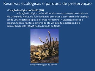 Reservas ecológicas e parques de preservaçãoAlgumas unidades de preservação:- Parque Nacional de Sete Cidades (PI)	O Parque Nacional de Sete Cidades é localizado no norte do estado do Piauí, possui uma área de 6.221 hectares. É administrado pelo IBAMA . Na área do Parque existem várias formações rochosas, banhos, cachoeira, inscriçoes rupestres e diversos pontos de beleza exuberante. É dividido em 7 cidades imaginárias cada uma com suas particularidades, daí o seu nome.Parque Nacional de Sete Cidades