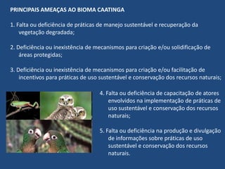 Reservas ecológicas e parques de preservação- Parque Nacional Serra da Capivara (PI)	O Parque Nacional Serra da Capivara é localizado no sudeste do estado do Piauí. É um parque arqueológico com uma riqueza de vestígios que se conservaram durante milênios, devido à existência de um equilíbrio ecológico, hoje extremamente alterado. Ele é administrado pela Fundação Museu do Homem americano.Parque nacional Serra da capivaraPintura rupestre que pode ser encontrada no parque