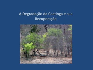 Reservas ecológicas e parques de preservação- RPPN Pedra do Cachorro (PE) 	A Reserva Particular do Patrimônio Natural Pedra do Cachorro é uma área de preservação da natureza em propriedade privada. Ela localiza-se no agreste de pernambuco. A reserva tem por objetivo proteger os recursos ambientais representativos  da região. Ela é administrada pelo seu proprietário, Guaraci Cardoso. RPPN Pedra do Cachorro
