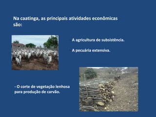 Reservas ecológicas e parques de preservação- Parque Nacional do Catimbau (PE) 	O Parque Nacional do Catimbau está localizado entre o agreste e o sertão pernambucano. Ele é considerado de extrema importância biológica e apresenta pinturas rupestres e artefatos de ocupação pré-histórica. É considerado o segundo maior parque arqueológico do Brasil. O parque é administrado pelo IBAMA de Pernambuco.Parque Nacional do Catimbau