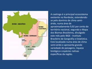 A caatinga é o principal ecossistema existente no Nordeste, estendendo-se pelo domínio de clima semi-árido, numa área de aproximadamente 9,92 por cento do território nacional, segundo o Mapa dos Biomas Brasileiros, divulgado este mês pelo IBGE - Instituto Brasileiro de Geografia e Estatística. Está localizado numa área de clima semi-árido e apresenta grande variedade de paisagens, riqueza biológica e espécies nativas específicas da região. 
