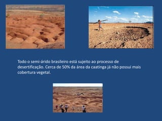 Reservas ecológicas e parques de preservação- Estação Ecológica do Seridó (RN)	A Estação Ecológica do Seridó localiza-se no sudoeste do estado do Rio Grande do Norte, ela foi criada para preservar o ecossistema da caatinga tendo uma vegetação típica do sertão nordestino. A vegetação é seca e esparsa, tendo arbustos e árvores de até 2m de altura isolados. Ela é administrada pelo IBAMA do Rio Grande do Norte.Estação Ecológica do Seridó