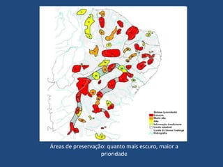 Cada vez mais, as queimadas para a obtenção de áreas de pasto e plantio, e a extração de madeira para a produção de carvão vem degradando intensamente áreas da caatinga.