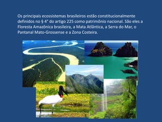 O Xiquexique (Pilosocereus gounellei) é uma espécie que não necessita de teores elevados de água ou nutrientes, sendo assim pioneira na ocupação de áreas inóspitas (sucessão primária). Além disso, ela retém matéria orgânica em seu redor, possibilitando o crescimento de outras plantas e serve de abrigo para diversos animais. Essas características fazem do Xiquexique uma excelente opção para combater a desertificação.