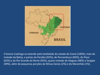 O bioma Caatinga se estende pela totalidade do estado do Ceará (100%), mais de metade da Bahia, e partes da Paraíba (92%), de Pernambuco (83%), do Piauí (63%) e do Rio Grande do Norte (95%), quase metade de Alagoas (48%) e Sergipe (49%), além de pequenas porções de Minas Gerais (2%) e do Maranhão (1%). 
