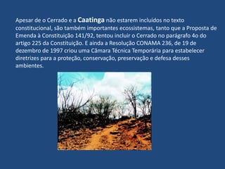 Para tentar frear a intensa degradação da caatinga, tem-se investido na conscientização da população, visando o uso sustentável da terra e de seus recursos.Espera-se com isso, evitar o desmatamento descontrolado e as inúmeras queimadas, que são as principais causas da desertificação.