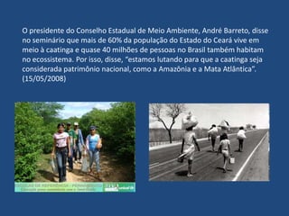 No entanto, começam a se mostrar mais frequentes os estudos e as ações que visam a recuperação de áreas degradadas. Muitas vezes coordenados por importantes corporações, como a Petrobras e a Embrapa, estes estudos tem obtido grande êxito, apontando diversas espécies de plantes, em sua maioria leguminosas, com grande potencial de repovoamento dessas áreas.