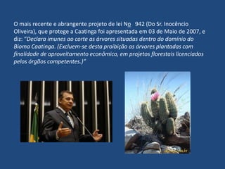 Unidades de preservação  Parque Nacional da Chapada Diamantina, o Monumento Natural Cachoeira do Ferro Doido e a Estação Ecológica do Raso da Catarina, todos federais.  No plano estadual estão instaladas as seguintes APAs - Áreas de Proteção Ambiental: Serra Branca/Raso da Catarina; Dunas e Veredas do Baixo Médio São Francisco; Grutas dos Brejões e Veredas do Romão Gramacho; Marimbus-Iraquara, Serra do Barbado, Pedra do Cavalo e Lagoa de Itaparica.   A região abriga ainda os parques estaduais Morro do Chapéu e Sete Passagens.   São consideradas ARIE - Áreas de Relevante Interesse Econômico, assim definidas na legislação ambiental do estado, as nascentes do rio de Contas e a Serra do Orobó. (Ascom CRA-Bahia)(03 de Junho de 2005; Site informativo do Estado da Bahia) 