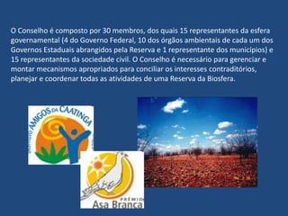 O presidente do Conselho Estadual de Meio Ambiente, André Barreto, disse no seminário que mais de 60% da população do Estado do Ceará vive em meio à caatinga e quase 40 milhões de pessoas no Brasil também habitam no ecossistema. Por isso, disse, “estamos lutando para que a caatinga seja considerada patrimônio nacional, como a Amazônia e a Mata Atlântica”. (15/05/2008)