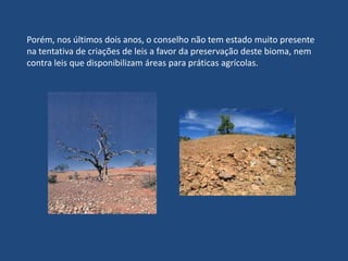  O deputado Pedro Wilson (PT-GO), defendeu a Proposta de Emenda à Constituição nº 115, de 1995, da qual é o primeiro signatário, que transforma o Cerrado, a Caatinga e o Pampa em patrimônio nacional. (20 de agosto de 2009).  Para o parlamentar, a Constituição de 1988 garantiu à Amazônia, à Zona Costeira, à Mata Atlântica e ao Pantanal a condição de patrimônio nacional, “mas cometeu uma grave omissão com o Cerrado, a Caatinga e os Campos Sulinos.”
