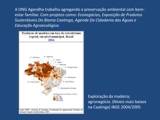 Segundo a Aspan, além de tudo, trata-se de mais um efeito danoso do projeto de transposição das águas do Rio São Francisco. A entidade defende ainda que o projeto ignorou a vasta legislação de proteção já existente e diz que o documento não foi submetido ao Conselho Estadual de Meio Ambiente (Consema). (Segunda feira, 13 de Abril de 2009)