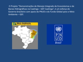 CONSELHO NACIONAL DA RESERVA DA BIOSFERA DA CAATINGA