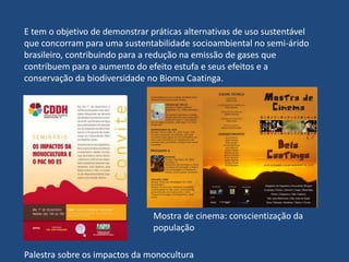 O Conselho é composto por 30 membros, dos quais 15 representantes da esfera governamental (4 do Governo Federal, 10 dos órgãos ambientais de cada um dos Governos Estaduais abrangidos pela Reserva e 1 representante dos municípios) e 15 representantes da sociedade civil. O Conselho é necessário para gerenciar e montar mecanismos apropriados para conciliar os interesses contraditórios, planejar e coordenar todas as atividades de uma Reserva da Biosfera. 