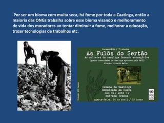 ONGS E PROJETOS DE PREVENÇÃO DA CAATINGA 