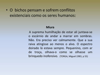 • O bichos pensam e sofrem conflitos
  existenciais como os seres humanos:

                        Miura
           A suprema humilhação de estar ali juntava-se
           o escárnio de andar a marrar em sombras.
           Não. Era preciso ver calmamente. Que a sua
           raiva atingisse ao menos o alvo. O espectro
           doirado lá estava sempre. Pequenino, com ar
           de troça, olhava-o como se olhasse um
           brinquedo inofensivo. (TORGA, Miguel:1983, p 55)
 